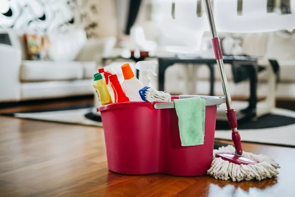 Manta Cleaning Service's other services